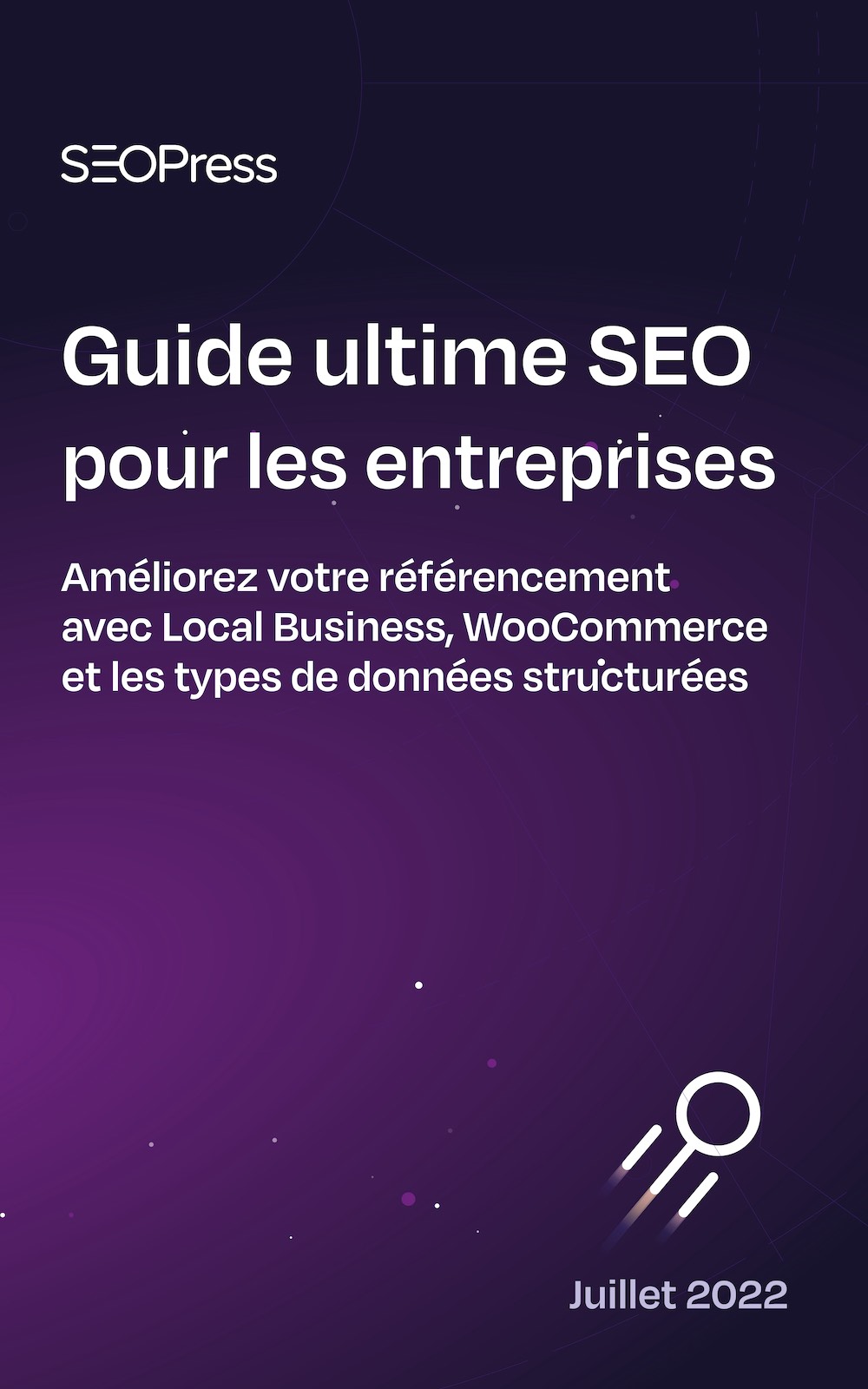 Guide ultime SEO pour les entreprises - SEOPress