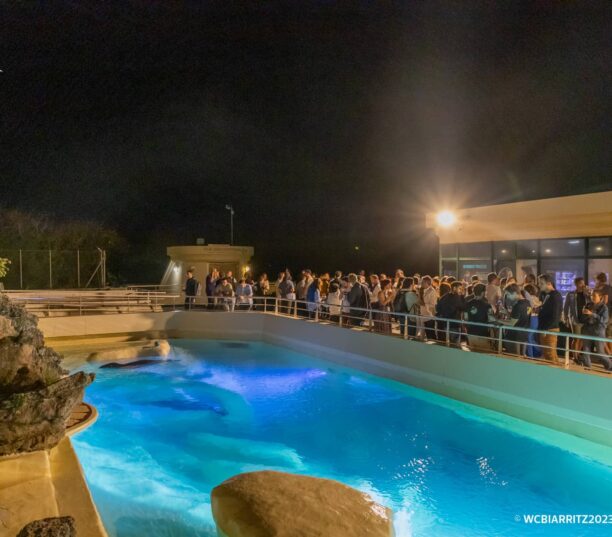 WordCamp Biarritz 2023 - After party