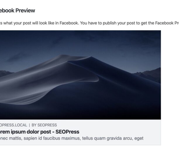 SEOPress Facebook Preview