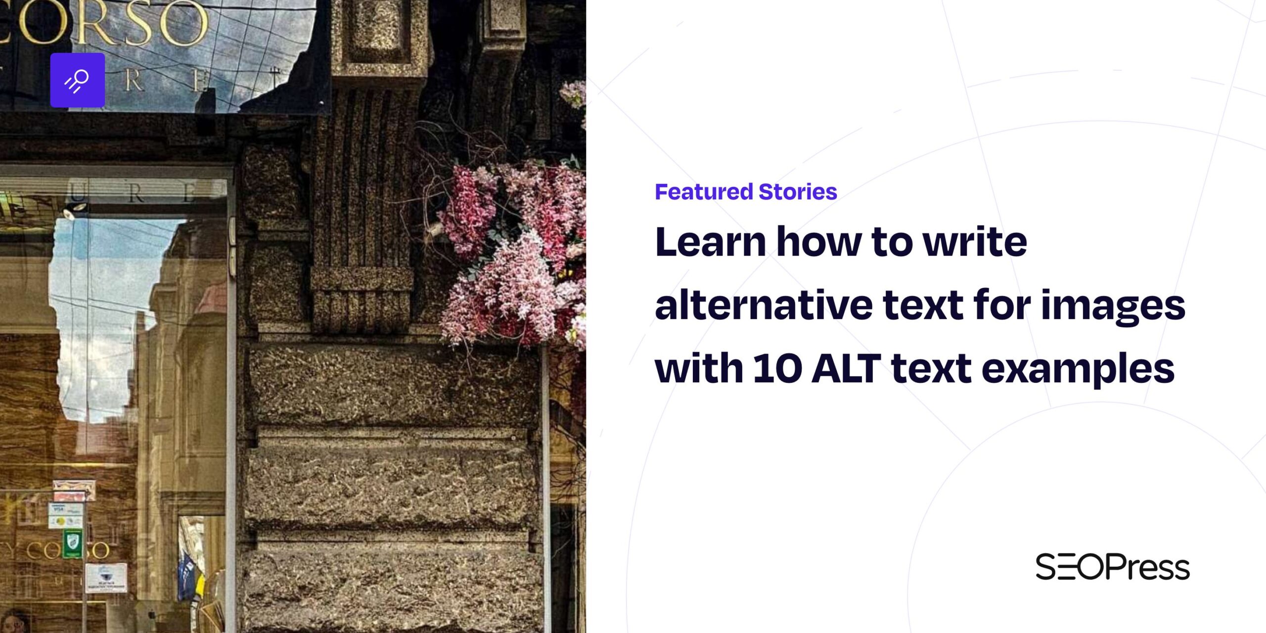 Learn How To Write Alternative Text For Images With 10 ALT Text 